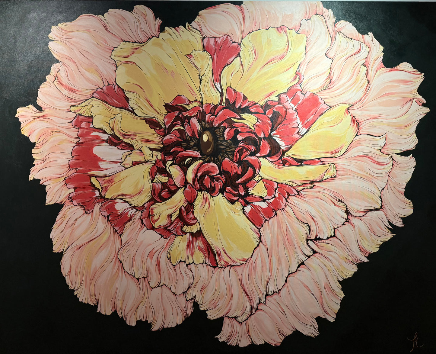 Japanese Ranunculus by Toby Keough