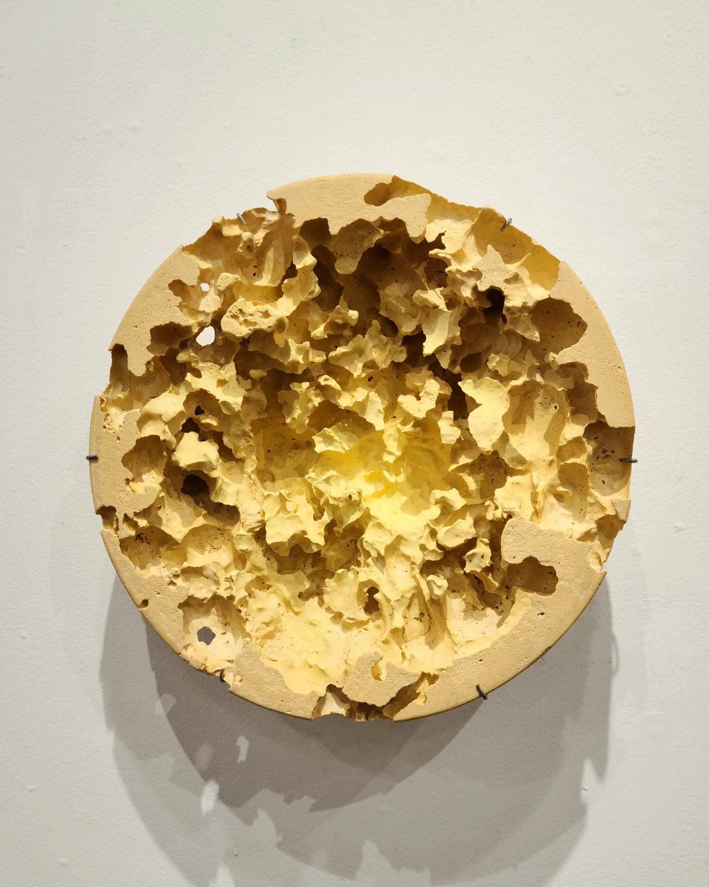 Vestige: Yellow III by Sarah Thompson Moore